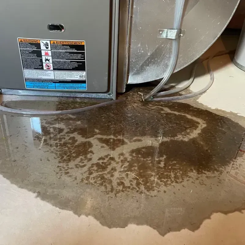 Appliance Leak Cleanup in Bolton, MA